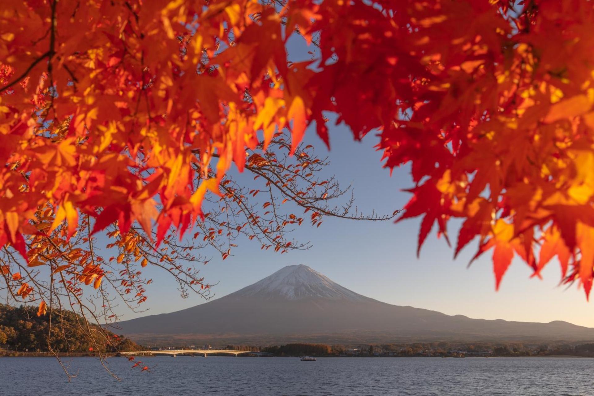 Mt Fuji Glamping Tourist Villa Kawaguchiko فوجيكاواجوتشيكو المظهر الخارجي الصورة